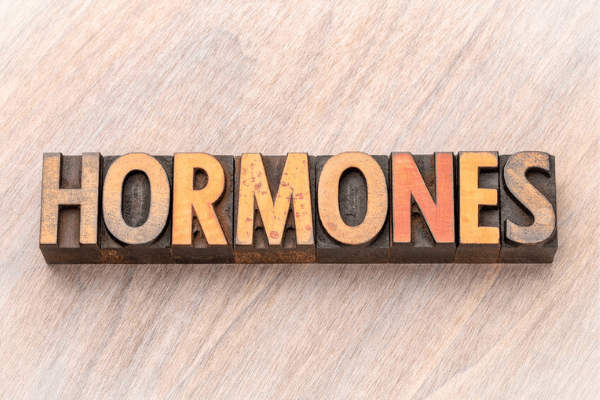 Understanding your own hormones – for your sake and everyone else’s!